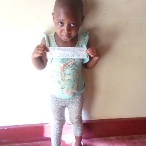 Kamiigo Disabled  (36)