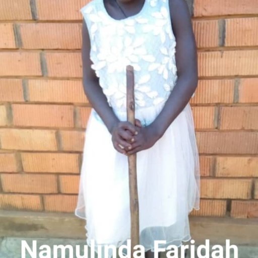 Kamiigo Disabled  (39)