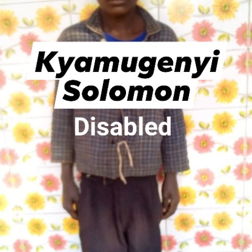Kamiigo Disabled  (41)