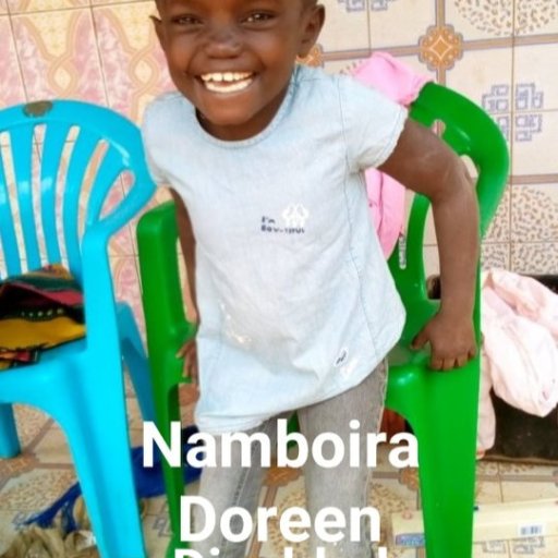 Kamiigo Disabled  (45)