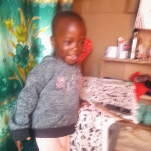 Kamiigo Disabled  (46)