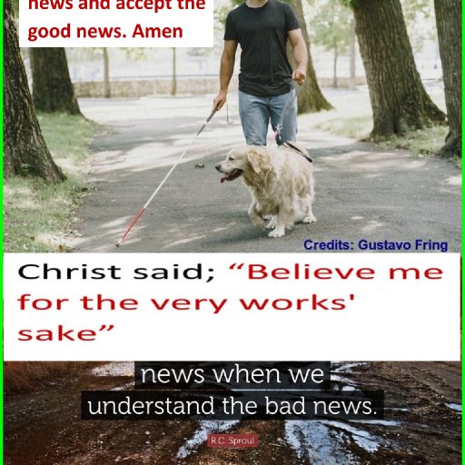 Believe me for the very works' sake