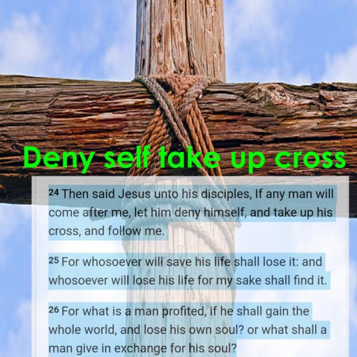 Deny self, take up cross, keep soul