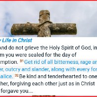 Put away from you all malice