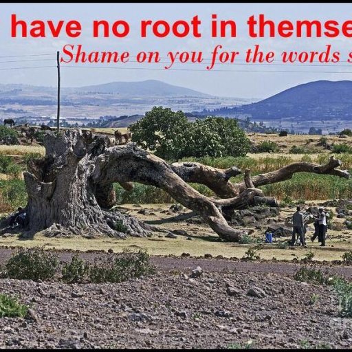 No root in themselves