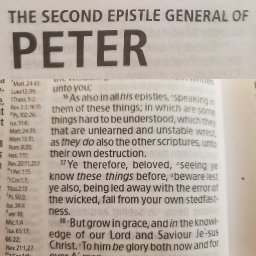 imgonline-com-ua-twotoone-4JPDvdJMt9d (1).jpg