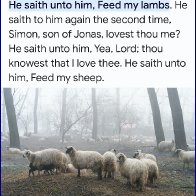 lovest thou me Feed my lambs