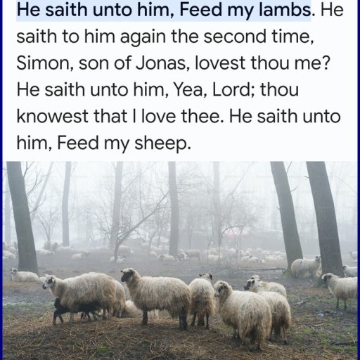 lovest thou me Feed my lambs