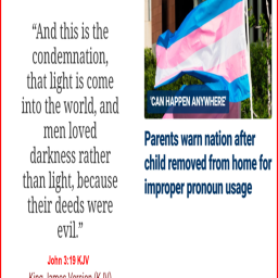 oie_styCTEFiPkWe (1).png