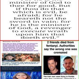 imgonline-com-ua-twotoone-OlcAtQ9j6XD (1).jpg