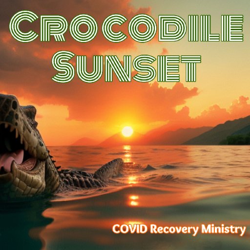 Crocodile Sunset - COVID Recovery Ministry