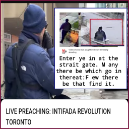 oie_c1TtlQMPp8sY (1).png