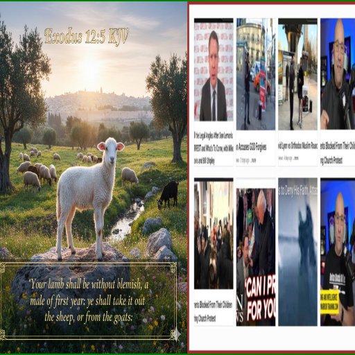 Man is without excuse