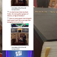 atheistic agnostic sheared conscience