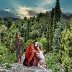 the-prodigal-son-returns-norman-brule