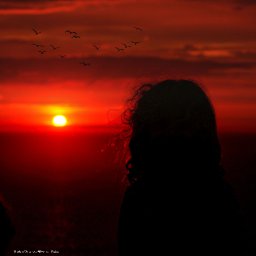 Welcome to All ! ツ from Pixabay.jpg