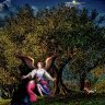 heaven-cried-norman-brule