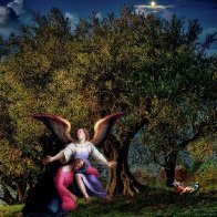 heaven-cried-norman-brule