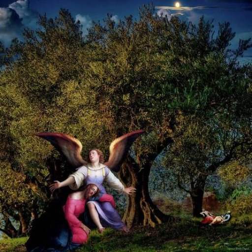 heaven-cried-norman-brule
