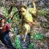 a-virgin-shall-conceive-norman-brule