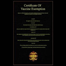 vaccine-passport-norman-brule.jpg