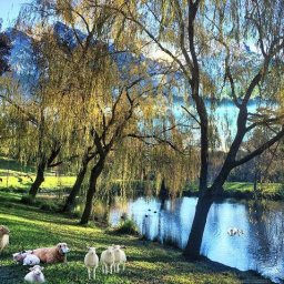 beside-the-still-waters-norman-brule.jpg