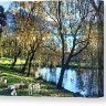 beside-the-still-waters-norman-brule-canvas-print