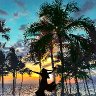 palms8