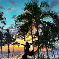 palms8