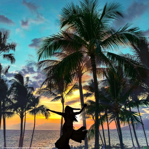 palms8