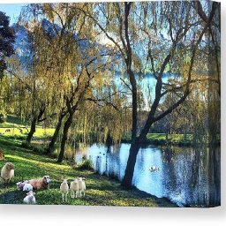 beside-the-still-waters-norman-brule-canvas-print.jpg