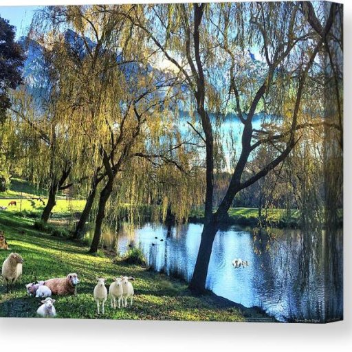 beside-the-still-waters-norman-brule-canvas-print