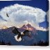 eagle-pass-norman-brule-canvas-print