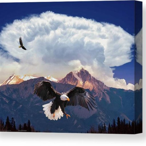 eagle-pass-norman-brule-canvas-print