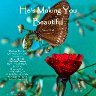 beautifulcover7
