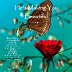 beautifulcover7