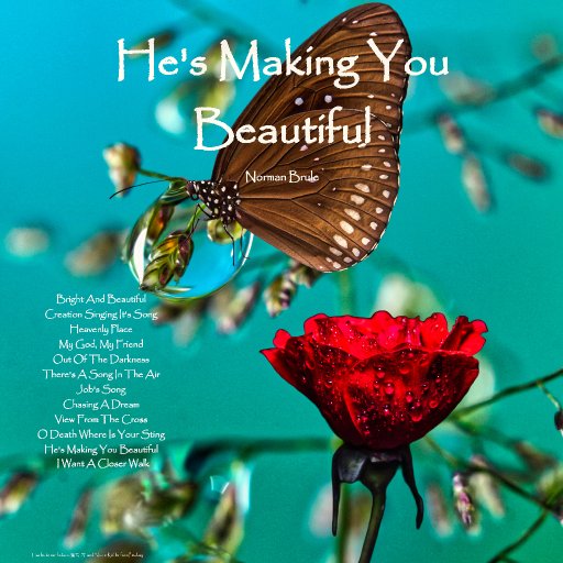 beautifulcover7