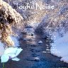 joynoisecover