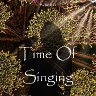 timesing