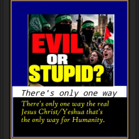 Evil or stupid (WAGES)