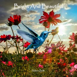 brigtbeautiful4.jpg