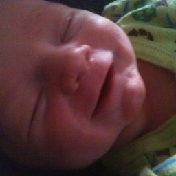 1876-Noble7daysold1.21.13SMILES.jpg