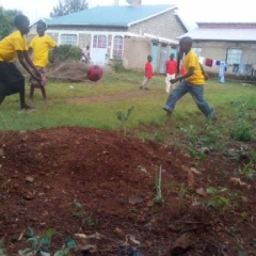 3350-IMG_20120707_173820