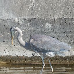 4107-231011019.JPG