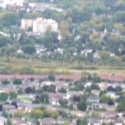4208-LindsayFair032a.jpg
