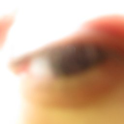 4254-099.JPG