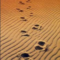 4599-Put_It_Into_Practice