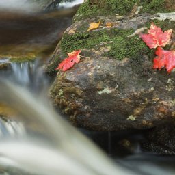 4612-Waterfall2.jpg