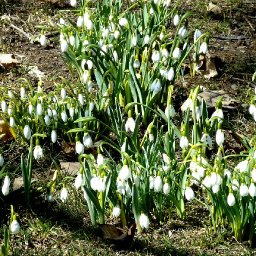 4640-March25th2011010.JPG
