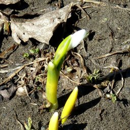 4641-March25th2011005.JPG